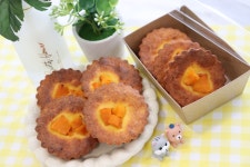 멍s텔라