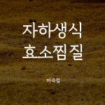자하생식 효소찜질