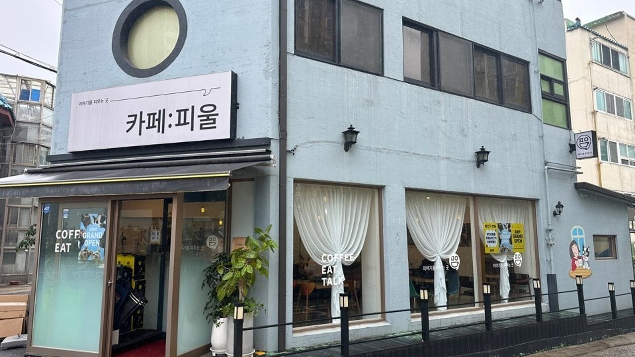 카페 피울