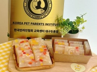 멍s텔라