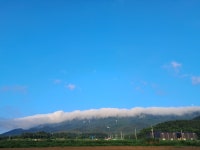 달마고도민박