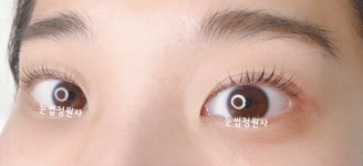 눈썹정원사