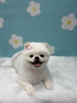 데려오개