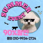 멍토피아 강아지분양 인천본점