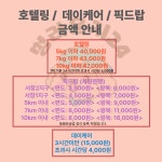 멍라운지24 데이케어 애견미용호텔 애견카페 인천점