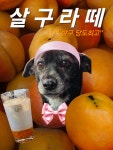 카페서천담