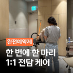 펄세이 도그 그루밍 강남삼성동본점