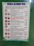 정디자인