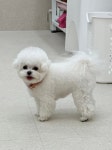 멍구르르