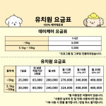 댕토피아 애견유치원