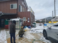 달마고도민박