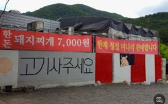 굴다리식육식당