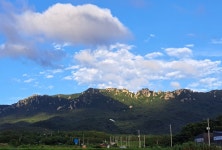 달마고도민박