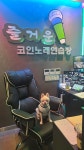 즐거운 코인노래연습장