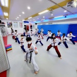 국가대표 울림태권도