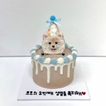 루비까까 강아지케이크