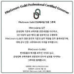 루피펫살롱