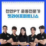 핏라이프피트니스 PT