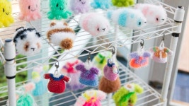 멜로디 독채펜션