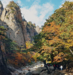 설렘양양사회적협동조합