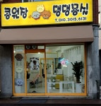 콩원장 댕댕묭실