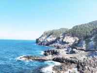 스테이울릉태하