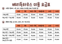베리독하우스 애견미용 부천점