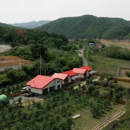 사진 2