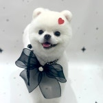 멍살롱