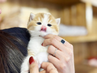 오케이독 부천본점