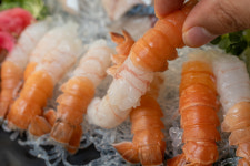 제주도 해진횟집 탑동본점