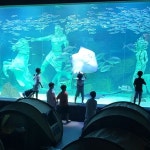 [야간 이벤트] 아쿠아티움