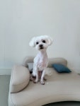 달코살롱