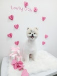 몽그라밍