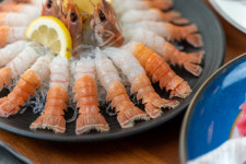 제주도 해진횟집 탑동본점