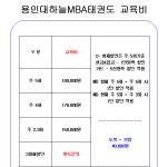 용인대하늘MBA태권도장