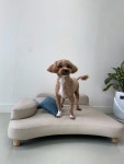 달코살롱
