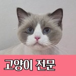 두부두부 캣묭실