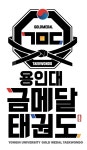 용인대금메달태권도장