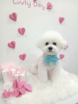 몽그라밍