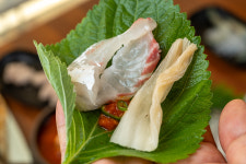 제주도 해진횟집 탑동본점