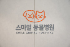 스마일동물병원