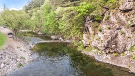 더큐브 애견풀빌라