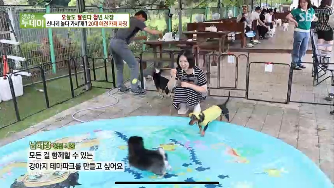 뽀야네 딩가댕가
