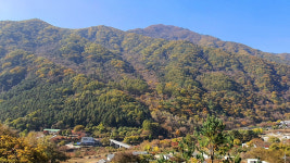 제스밸리펜션