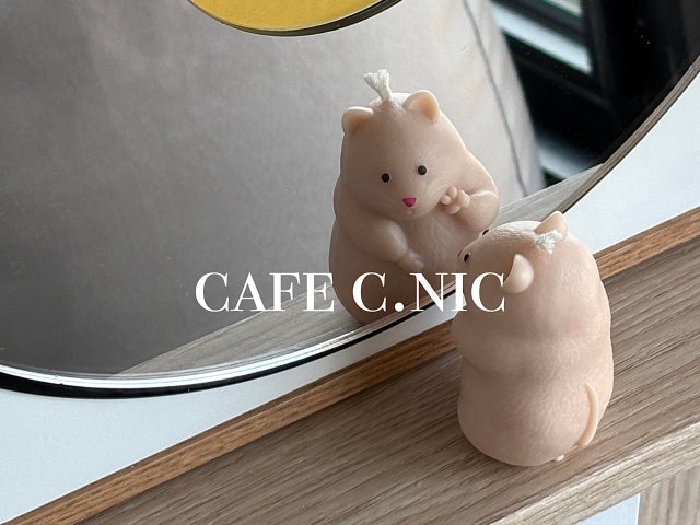 카페씨닉