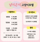 고양이무마취미용 냥지곤지