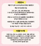 고양이무마취미용 냥지곤지