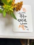촌애생활연구소