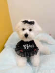 멍동이네